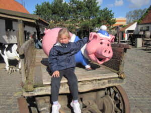 Mijn droom